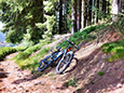 Mountainbiken im Schwarzwald